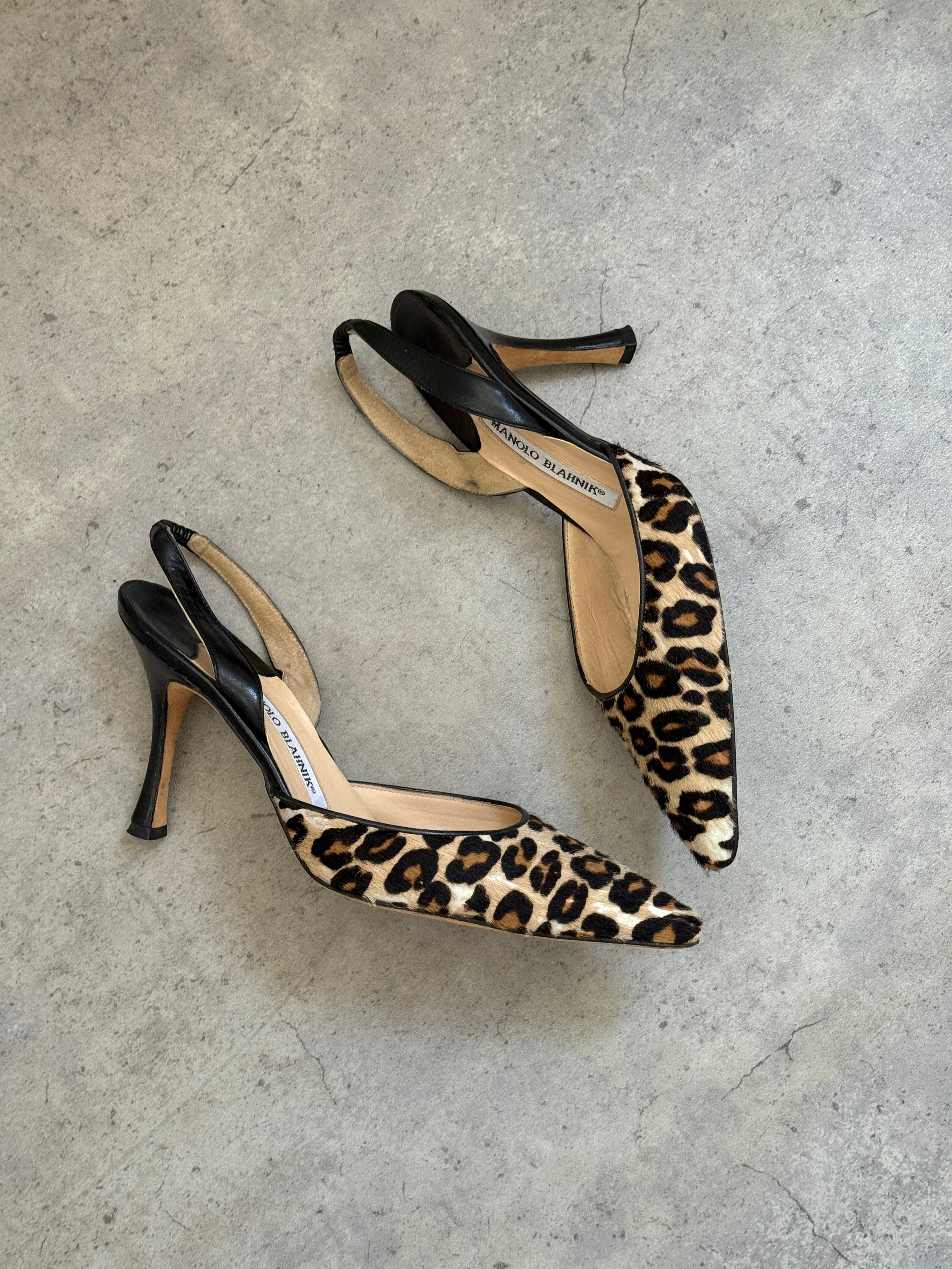 Manolo Blahnik Leopard Print Slingbacks • EU 36