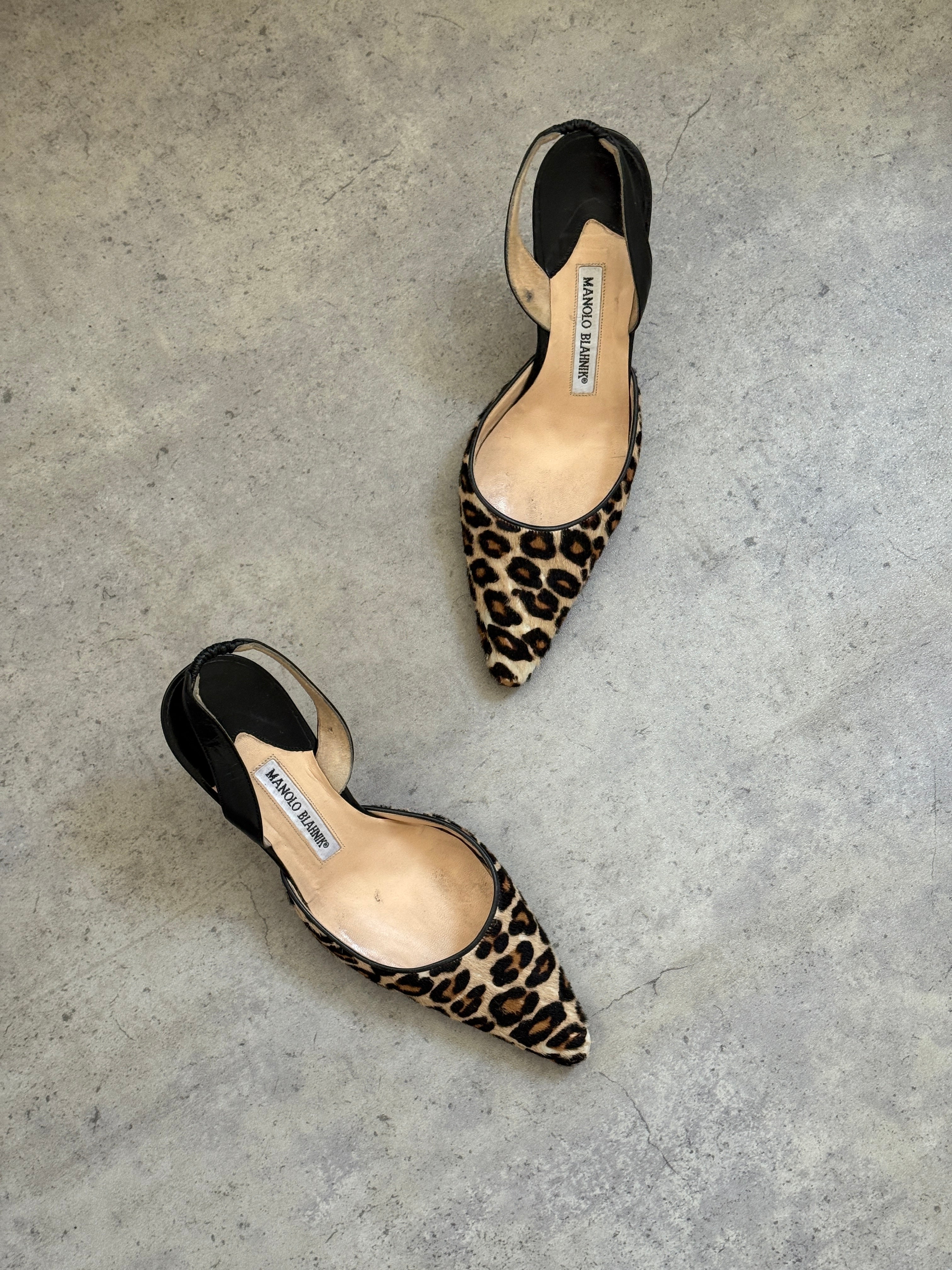 Manolo Blahnik Leopard Print Slingbacks • EU 36