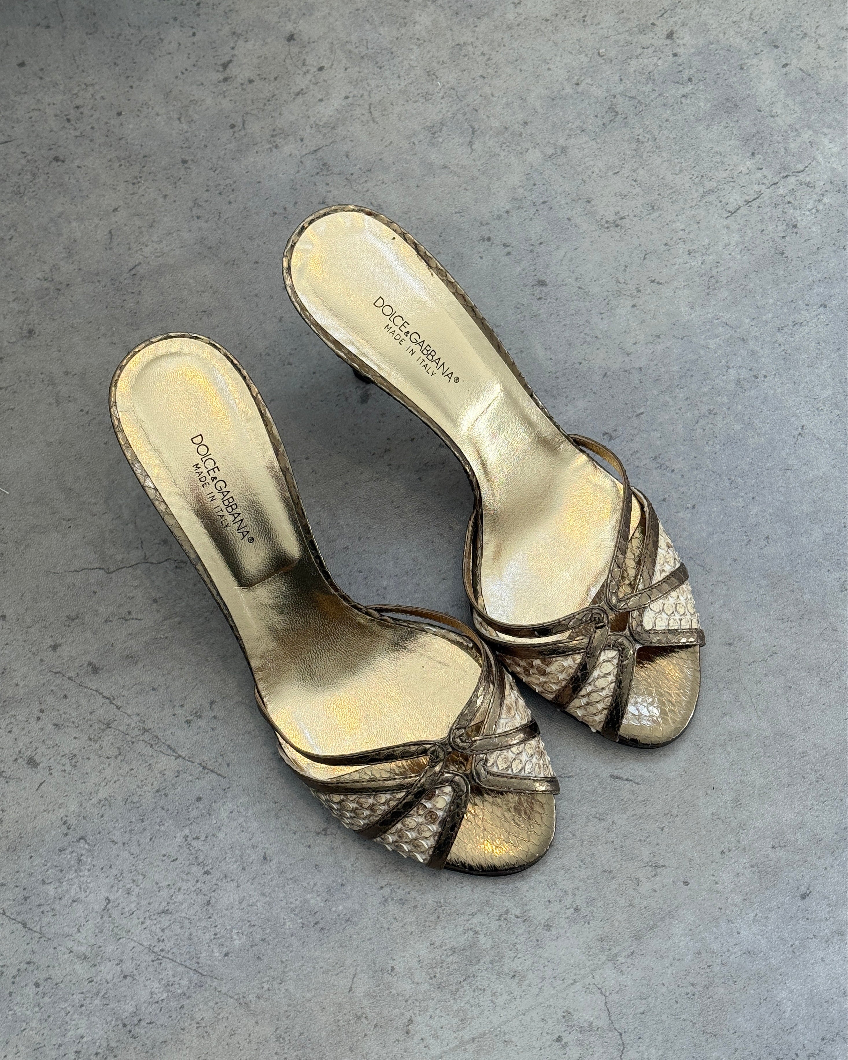 Dolce & Gabbana Snake Mules • EU 38.5