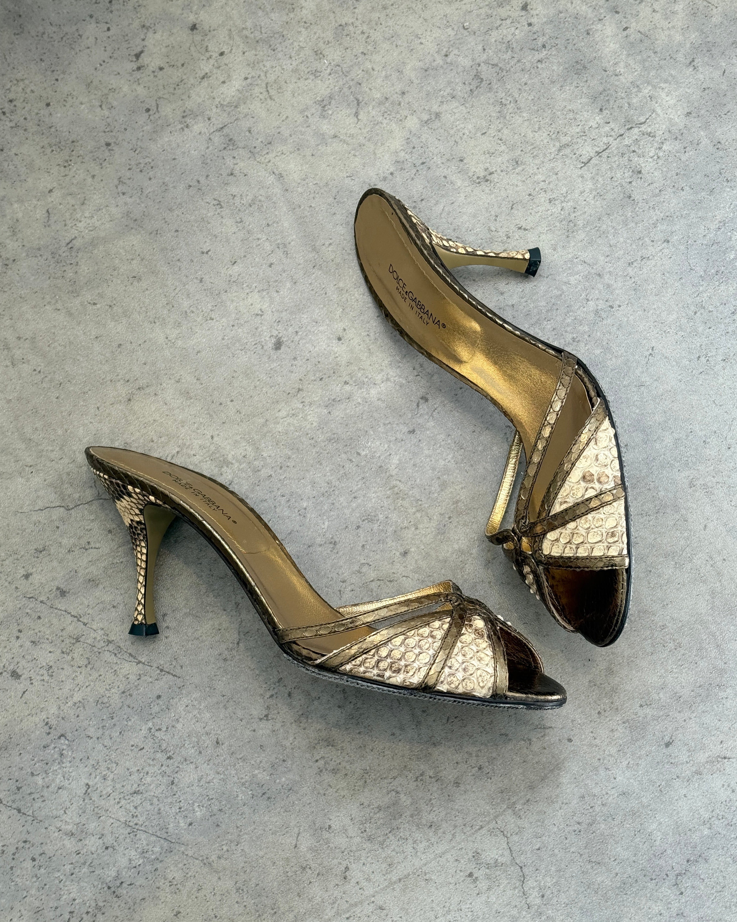 Dolce & Gabbana Snake Mules • EU 38.5
