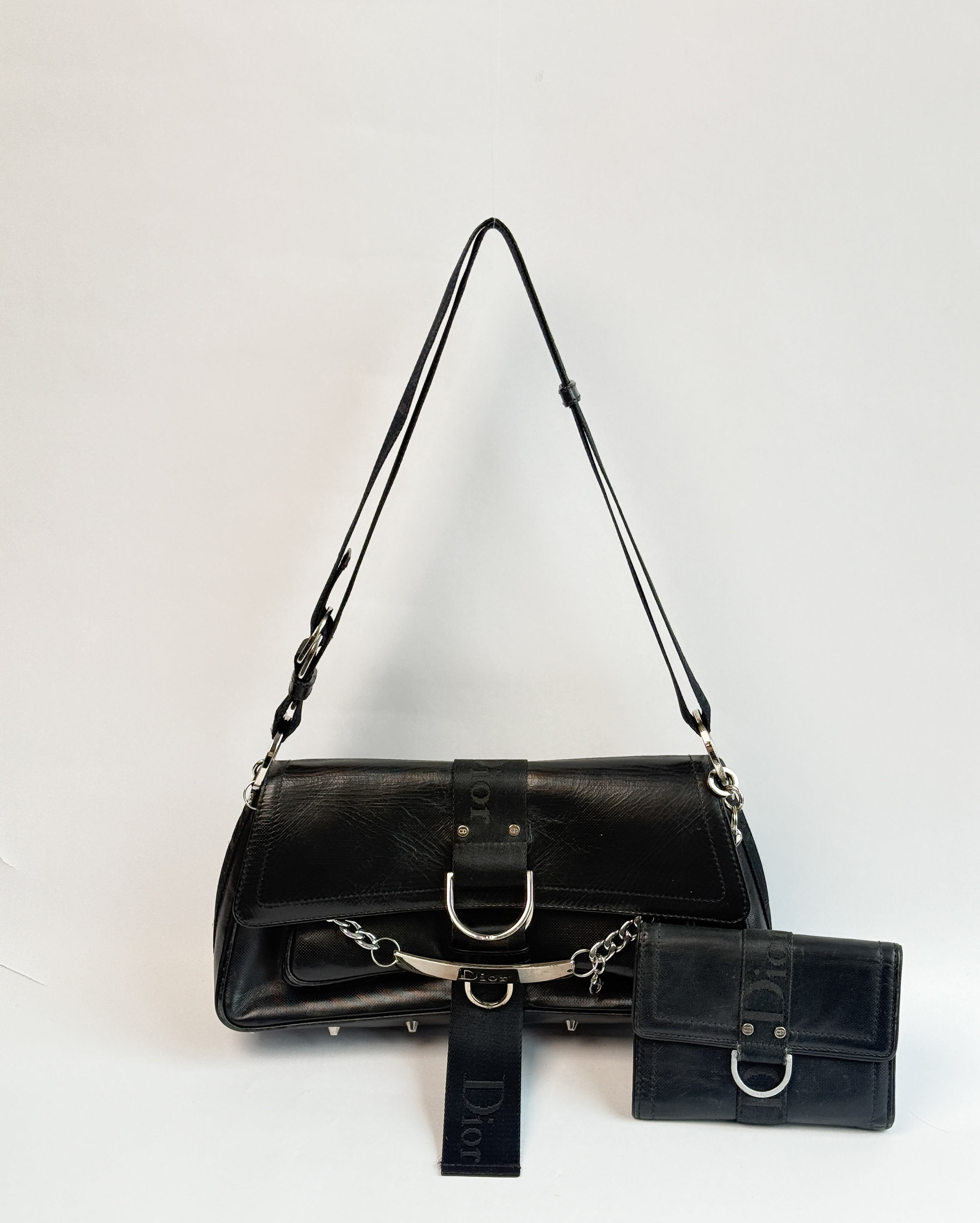 Dior Hardcore Bag and Purse